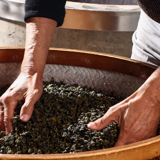 茶師的精湛技藝與用心